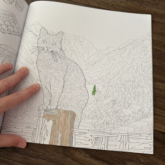 Adult Coloring Book Kaiser Colour Farm Yard Coloring Book - Picture 4 of 4